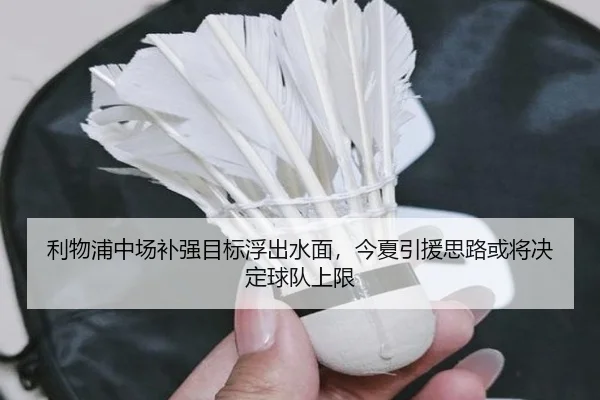 利物浦中场补强目标浮出水面，今夏引援思路或将决定球队上限